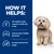 Graphic with English text: Nutrition supports healthy skin and coat, promotes a healthy skin barrier, and ensures excellent stool quality. Dog pictured next to it. Graphic with English text: Nutrition supports healthy skin and coat, promotes a healthy skin barrier, and ensures excellent stool quality. Dog pictured next to it.