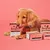 Boxes of Pooch & Mutt puppy complete wet food displayed on a pink background, with product packaging and labels visible.
