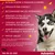 Advantix : action contre 6 parasites externes, efficacité par contact, recommandé par les vétérinaires, résistant à l'eau, convient aux femelles gestantes, adapté aux chiots dès 7 semaines.