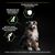 PURINA PRO PLAN Medium Puppy Healthy Start