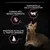 Testi visibili: formulato senza frumento, supporta la salute digestiva, mantiene in salute il tratto urinario. Immagine di un gatto con icone illustrative.