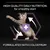 HIGH QUALITY DAILY NUTRITION for a healthy start. FORMULATED WITH COLOSTRUM. Text over image of a kitten with arrows and a purple shield symbol. All text in English.