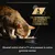 Chat mangeant dans une gamelle Purina Pro Plan. Texte : Une nutrition basée sur la science développée par les vétérinaires Purina. Quand votre chat a 7+ ans passez à notre gamme senior.