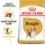Royal Canin Adult Beagle Hundefutter. Speziell angepasste Krokette für Idealgewicht. Breed Nutrition Konzept.
