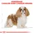 Royal Canin Cavalier King Charles Adult