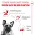 Royal Canin French Bulldog Loaf