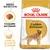 Sachet Royal Canin Adult Golden Retriever, croquette sur-mesure, santé de la peau et du pelage, texte en anglais et français visible sur l’emballage. Sachet Royal Canin Adult Golden Retriever, croquette sur-mesure, santé de la peau et du pelage, texte en anglais et français visible sur l’emballage.
