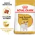 Royal Canin Adult Jack Russell Terrier, crocchetta su misura, massa muscolare e complesso vitalità. Immagine di un cane Jack Russell Terrier sulla confezione. Royal Canin Adult Jack Russell Terrier, crocchetta su misura, massa muscolare e complesso vitalità. Immagine di un cane Jack Russell Terrier sulla confezione.