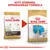 Royal Canin Jack Russell Terrier Junior och Puppy hundfoder, bild visar nytt utseende och uppgraderad formula. Text: NYTT UTSEENDE, UPPGRADERAD FORMULA.