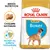 Sachet Royal Canin Puppy Boxer, croquette sur-mesure, soutien du système immunitaire, image d’un chiot boxer. Texte visible : Breed Nutrition, Croquette sur-mesure, Soutien du système immunitaire. Sachet Royal Canin Puppy Boxer, croquette sur-mesure, soutien du système immunitaire, image d’un chiot boxer. Texte visible : Breed Nutrition, Croquette sur-mesure, Soutien du système immunitaire.