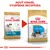 Porovnání starého a nového balení krmiva Royal Canin Shih Tzu pro štěňata, nápis: Nový vzhled, vylepšená receptura. Obě balení zobrazují psa Shih Tzu a název produktu.