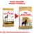 Duas embalagens de ração Royal Canin Adult Rottweiler lado a lado, com texto: 'Nova imagem, mesma fórmula'. Ambas mostram o nome da marca e ilustração de um cão Rottweiler.