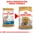 Royal Canin Shih Tzu Adult