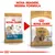 Royal Canin Shih Tzu Adult