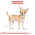 Royal Canin Breed Chihuahua Mousse