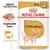 Royal Canin Adult Chihuahua Nassfutter, 85g x 12. Angepasste Textur für schönes Fell. Breed Nutrition mit Abbildung von Futterstücken und Chihuahua.