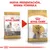 Comparativa de dos envases de Royal Canin Adult Yorkshire Terrier con texto: 'Nueva presentación, misma fórmula'. Se muestra el cambio de diseño del paquete.
