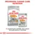 Royal Canin Coat Care, embalagem de ração seca Mini e saqueta húmida All Sizes. Texto: Programa Canine Care Nutrition. A combinação perfeita das nossas fórmulas secas e húmidas.