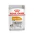 Royal Canin Coat Care, 85 g, textura patê. Indicado para cães de todos os tamanhos com pelo baço e áspero. Texto visível: Healthy & Shiny Coat, All Sizes.