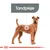 Hund med teksten 'Tandpleje' vist over hovedet. Illustration fremhæver fokus på tandpleje til hunde.