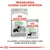 Royal Canin Digestive Care Medium crocchette e Digestive Care All Sizes umido, confezioni visibili. Testo: Programma Canine Care Nutrition. 85 g. La perfetta combinazione di ricette secche & umide.