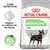 Royal Canin Digestive Care Mini. Mejora la calidad de las heces. Resultados probados: hasta el 92 % de calidad óptima de las heces. Imagen de un perro pequeño en el envase.