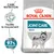 Royal Canin Joint Care Maxi, facilite le mouvement, résultats prouvés 97 % des propriétaires satisfaits après 28 jours, sac avec image de chien.