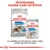 ROYAL CANIN Light Weight Care, confezione secca MAXI e bustina umida ALL SIZES, programma Canine Care Nutrition. Testo: la perfetta combinazione delle nostre ricette secche & umide.