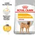 Royal Canin Dermacomfort Medium with reduced allergen formula. Proven results: 91% owners satisfied after 2 months. Care nutrition highlighted on packaging.