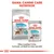 Royal Canin Urinary Care MINI și ALL SIZES, hrană pentru câini. Text vizibil: GAMA CANINE CARE NUTRITION, +21% urine dilution, Mixul perfect între formula umedă și cea uscată.