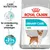 Royal Canin Urinary Care Mini hondenvoer, ter ondersteuning van de urinewegen. Bewezen resultaten: +21% meer verdunde urine. Afbeelding van kleine hond op verpakking. Royal Canin Urinary Care Mini hondenvoer, ter ondersteuning van de urinewegen. Bewezen resultaten: +21% meer verdunde urine. Afbeelding van kleine hond op verpakking.