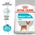 ROYAL CANIN URINARY CARE MINI dog food pack, text: Care Nutrition, Urinary tract health, Proven results +21% urine dilution, image of small brown and white dog on packaging ROYAL CANIN URINARY CARE MINI dog food pack, text: Care Nutrition, Urinary tract health, Proven results +21% urine dilution, image of small brown and white dog on packaging