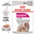 Royal Canin Exigent all sizes, 85g x12. Care Nutrition. Satisfies a fussy appetite. Loaf texture shown. Royal Canin Exigent all sizes, 85g x12. Care Nutrition. Satisfies a fussy appetite. Loaf texture shown.