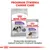 Royal Canin Sterilised X-Small karma sucha oraz Royal Canin Sterilised All Sizes karma mokra 85 g. Program żywienia Canine Care. Doskonała kombinacja receptur. Royal Canin Sterilised X-Small karma sucha oraz Royal Canin Sterilised All Sizes karma mokra 85 g. Program żywienia Canine Care. Doskonała kombinacja receptur.