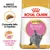 Royal Canin Kitten British Shorthair. Croquete feito à medida. Crescimento muscular e ósseo. Imagem de croquete e gato cinzento na embalagem.