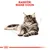 Royal Canin Maine Coon Adult