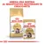 ROYAL CANIN Maine Coon Adult, confezione di crocchette e bustina da 85 g. Testo: Abbina una bustina al quantitativo quotidiano di crocchette.