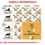 Tabella nutrizionale Royal Canin Maine Coon: dosi giornaliere consigliate in grammi per gatti sedentari e attivi da 4 a 10 kg, con opzione crocchette o crocchette più bustina.