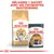 Mélangez 1 sachet avec ses croquettes quotidiennes. Sacs Royal Canin Norwegian Forest Cat Adult et Royal Canin Intense Beauty Care 85 g visibles.