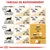 Tableau de rationnement Royal Canin : quantités de croquettes et sachets par poids du chat (3–4 kg, 5–6 kg, 7–8 kg), besoins énergétiques faible ou modéré, option sachet Intense Beauty.