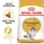 Breed nutrition with tailor-made kibble and healthy skin and coat benefits for adult Norwegian Forest Cat, shown on Royal Canin packaging.