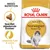 Royal Canin Adult Norwegian Forest Cat kattenvoer, tekst: Specifiek afgestemde brokken, Gezonde huid & vacht, afbeelding van een Noorse Boskat en brokvorm zichtbaar.