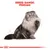 BREED RANGE: PERSIAN in red text above an illustrated Persian cat with long fur, sitting and raising one paw. Royal Canin crown symbol at the bottom.