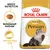 Royal Canin Adult Persian torrfoder, text: Skräddarsytt torrfoder, Främjar lång päls, bild på foderbit och perserkatt. Breed Nutrition syns upptill.
