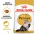 Royal Canin Adult Persian -kuivaruokapakkaus, persialaiskissan kuva, tekstit: räätälöity kuivanappula, terve pitkä karva, BREED NUTRITION.