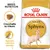 Royal Canin Adult Sphynx, crocchetta su misura, apporto calorico elevato. Immagine di gatto Sphynx sulla confezione. Testo visibile: Breed Nutrition.