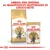 ROYAL CANIN British Shorthair Adult, confezione di crocchette e bustina da 85 g. Testo: Abbina una bustina al quantitativo quotidiano di crocchette.