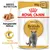 Royal Canin Adult British Shorthair 85g x12, aangepaste textuur, matig energiegehalte, afbeelding van grijze kat en voerstaafjes, Breed Nutrition Royal Canin Adult British Shorthair 85g x12, aangepaste textuur, matig energiegehalte, afbeelding van grijze kat en voerstaafjes, Breed Nutrition