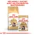 ROYAL CANIN Maine Coon Adult croquettes et sachet, texte visible : Mélangez 1 sachet avec ses croquettes quotidiennes. Sachet 85 g. Chat Maine Coon illustré sur l’emballage.
