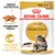 Royal Canin Adult Maine Coon, 85g x12. Aangepaste textuur. Gezondheid van botten en gewrichten. Afbeelding van een Maine Coon kat en natvoerbrokjes op een bord.